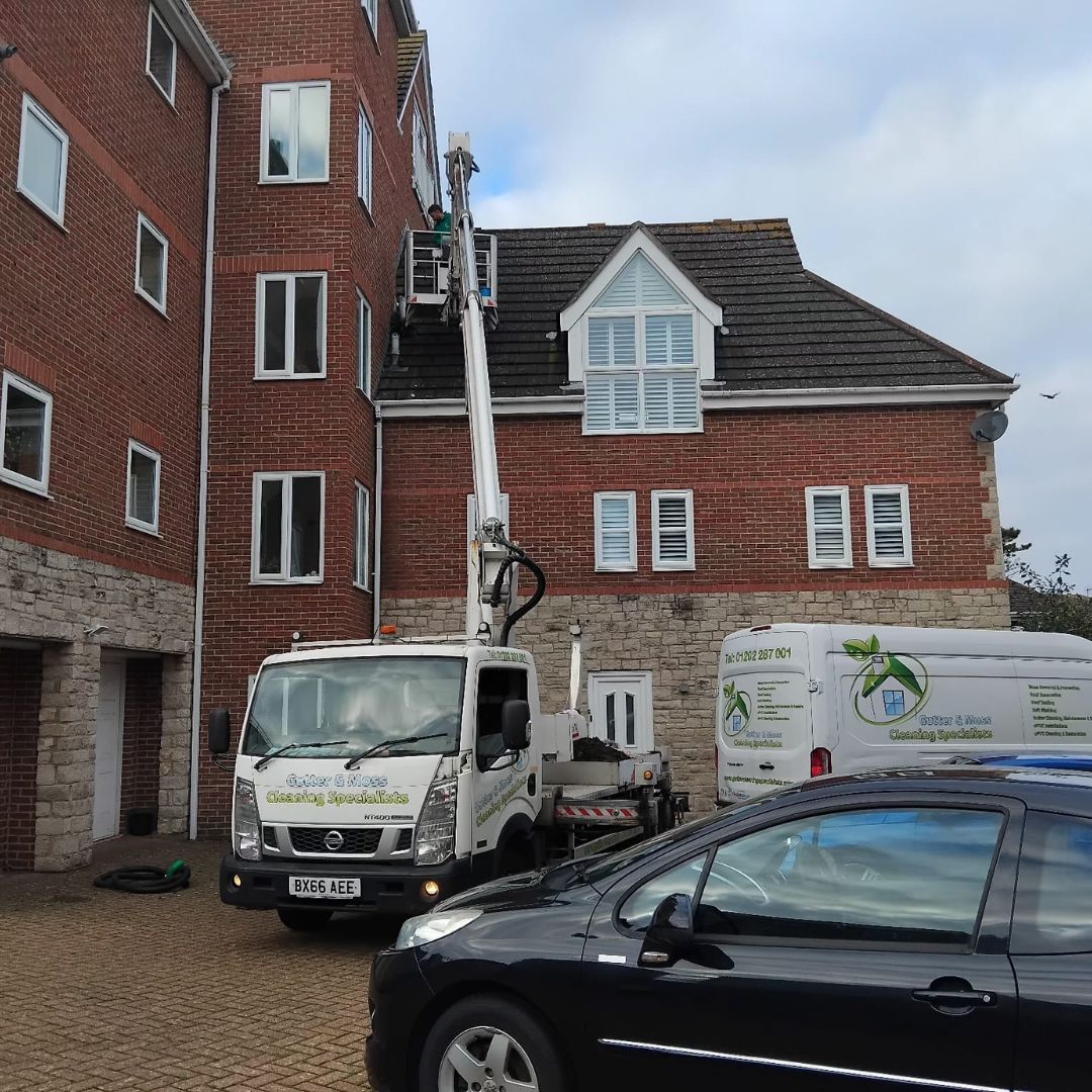 Another picture of our local cherry picker