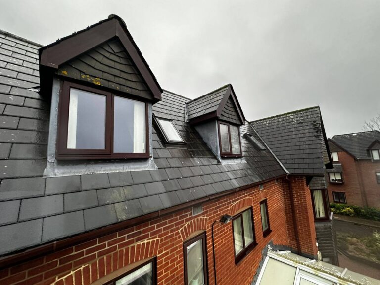 Why Roof Cleaning in Dorset is Essential for Long-Term Home Protection