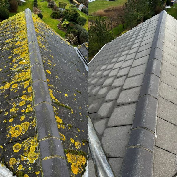 Another before and after of a roof clean in Dorset